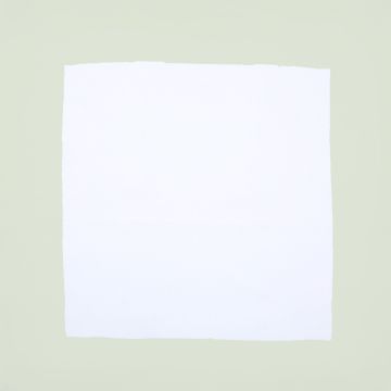 White linen napkin with pastel green border