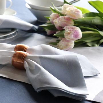 Cinta Sky Blue Border Linen Napkin