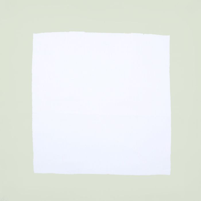 White linen napkin with pastel green border