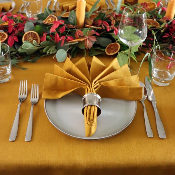 Napkin Folds